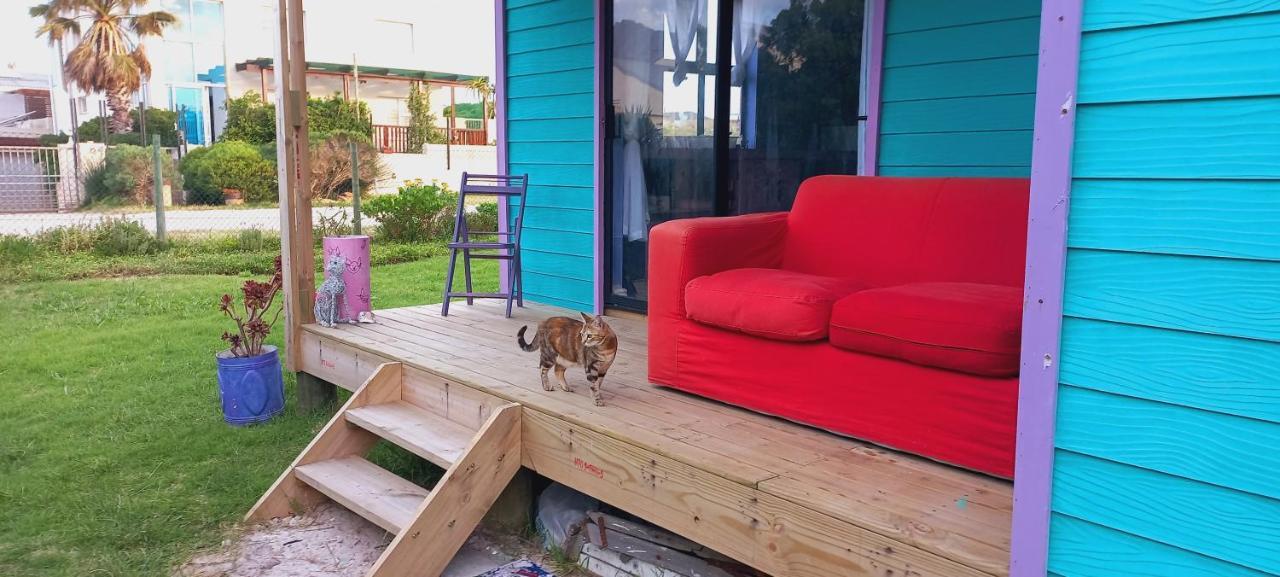 Cat Nap Cottage Беттис-Бей Экстерьер фото