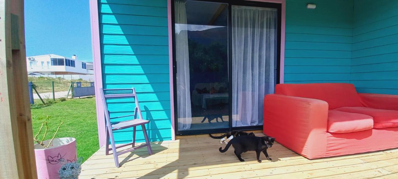 Cat Nap Cottage Беттис-Бей Экстерьер фото