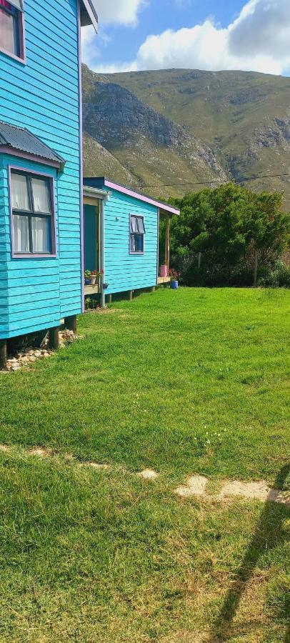Cat Nap Cottage Беттис-Бей Экстерьер фото