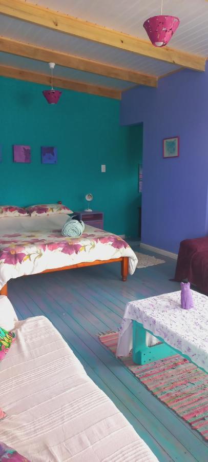 Cat Nap Cottage Беттис-Бей Экстерьер фото